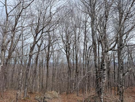 M1L22 Moosehead Trail Dixmont ME 04932