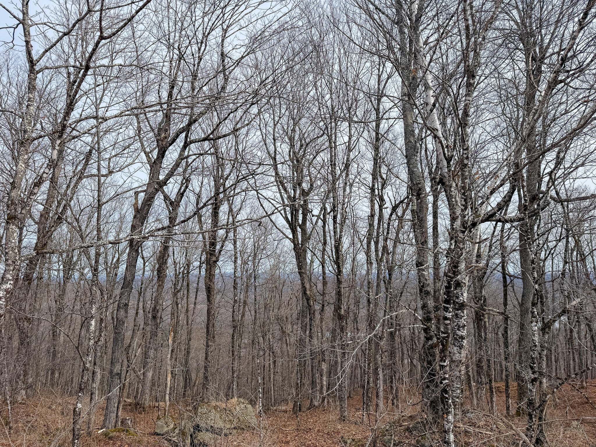 M1L22 Moosehead Trail Dixmont ME 04932