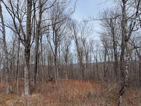 M1L22 Moosehead Trail Dixmont ME 04932