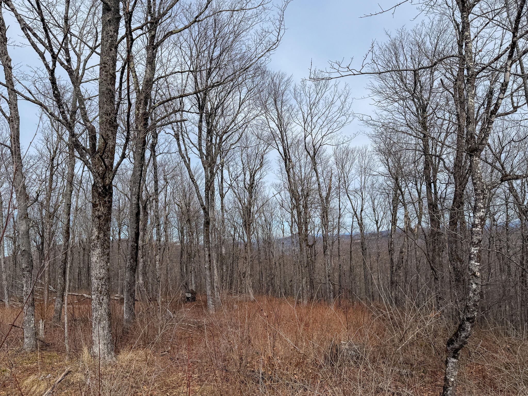 M1L22 Moosehead Trail Dixmont ME 04932