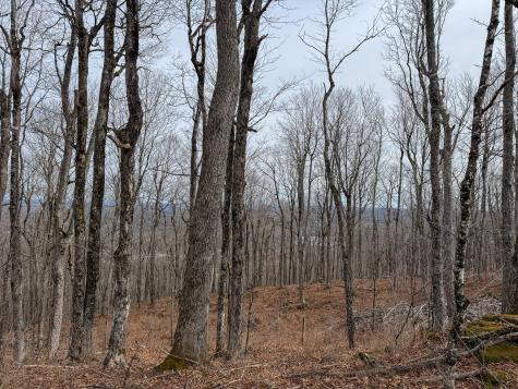 M1L22 Moosehead Trail Dixmont ME 04932