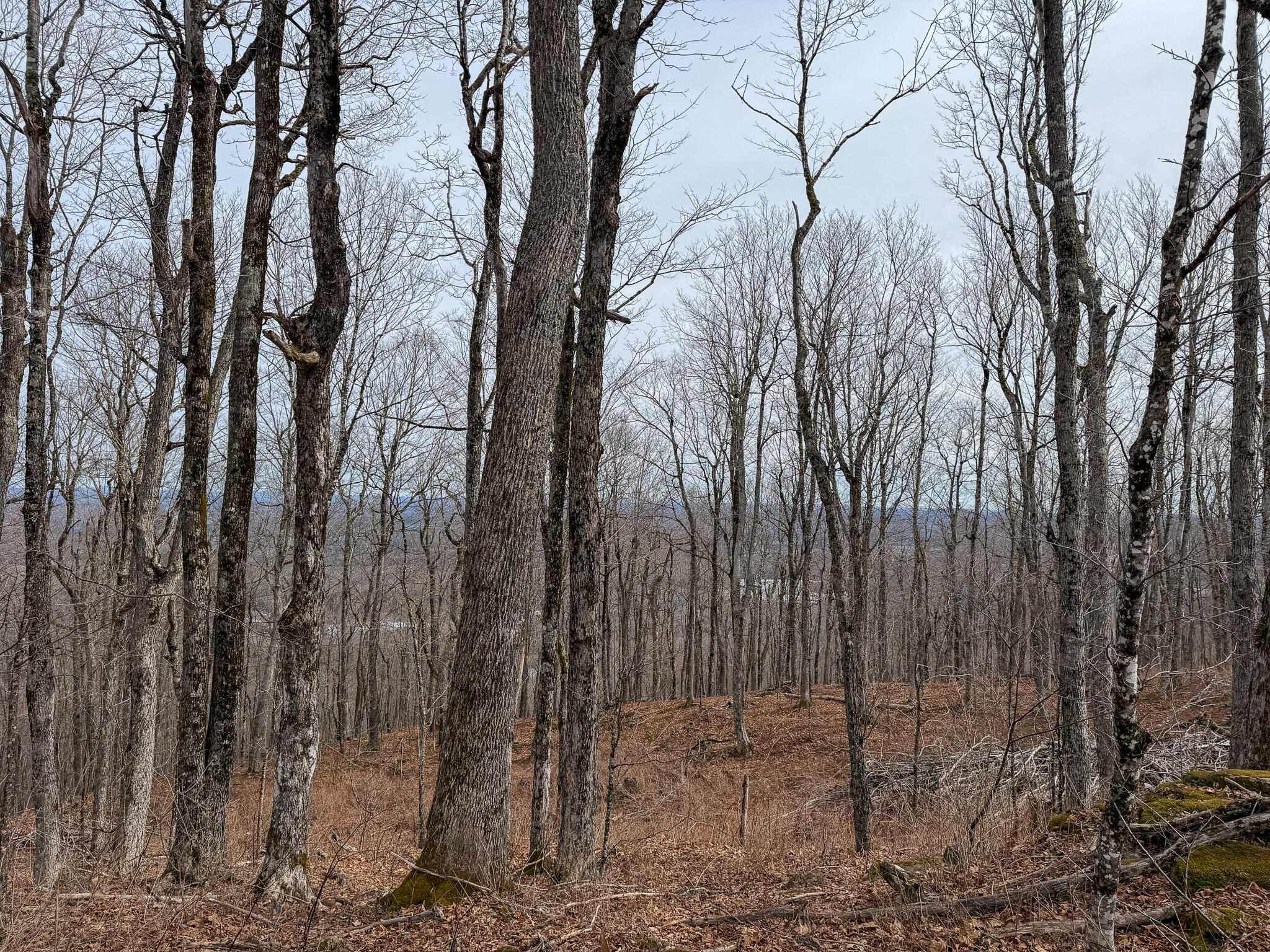 M1L22 Moosehead Trail Dixmont ME 04932