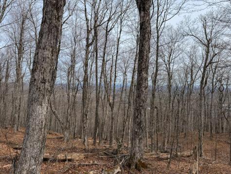 M1L22 Moosehead Trail Dixmont ME 04932