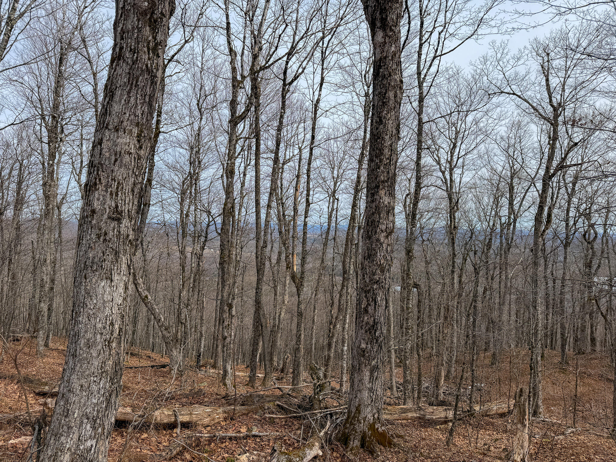 M1L22 Moosehead Trail Dixmont ME 04932