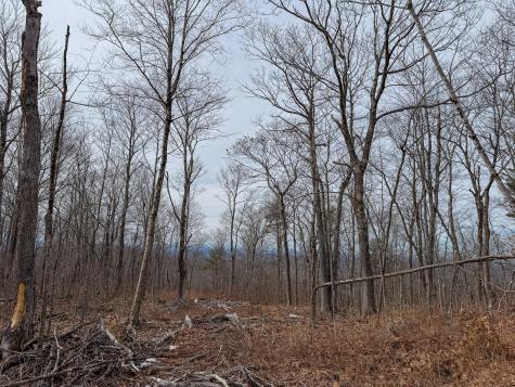 M1L22 Moosehead Trail Dixmont ME 04932