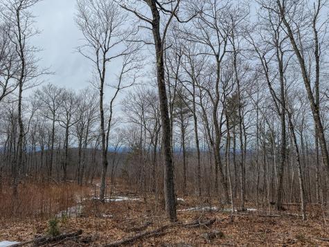 M1L22 Moosehead Trail Dixmont ME 04932