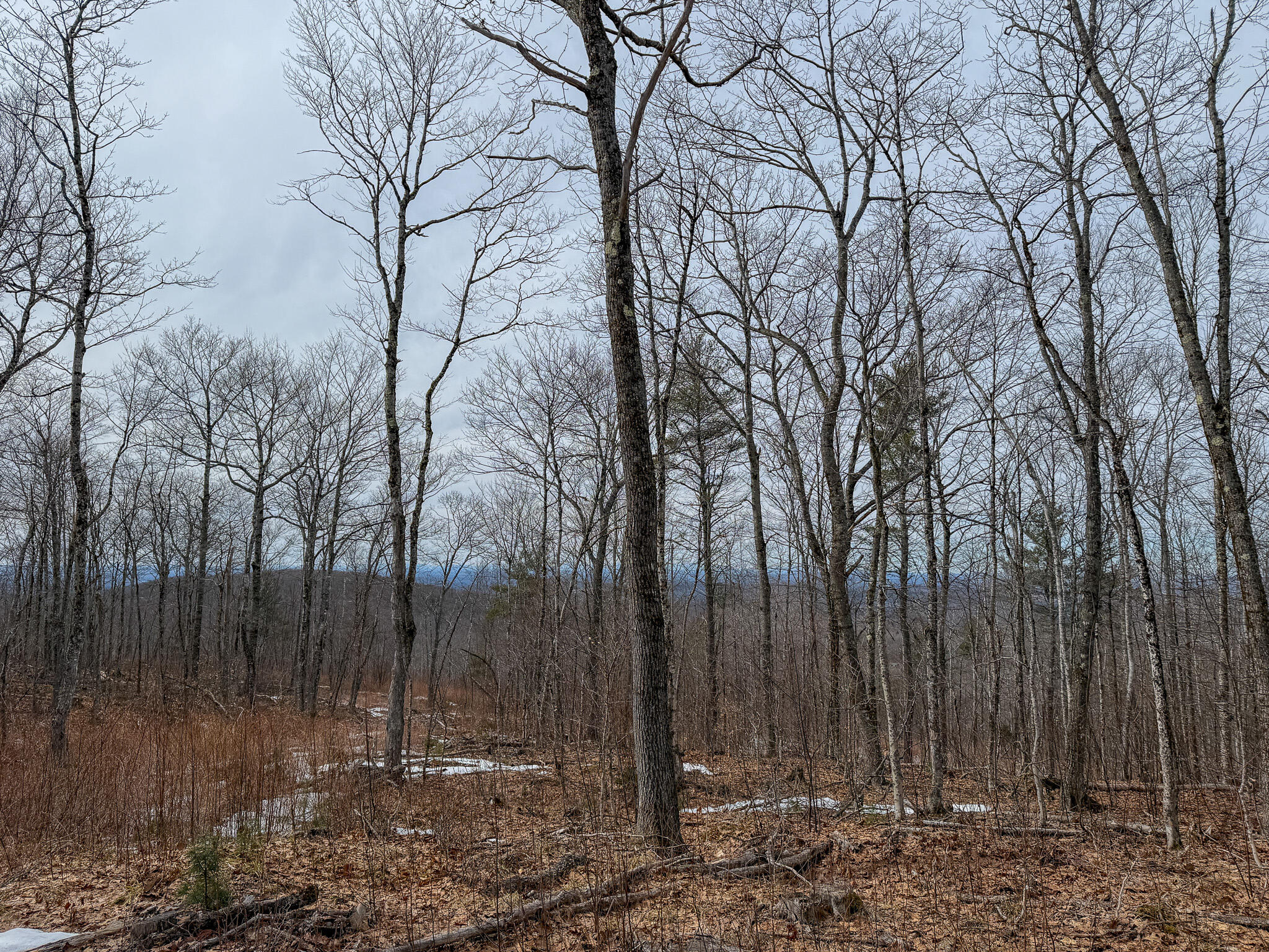 M1L22 Moosehead Trail Dixmont ME 04932