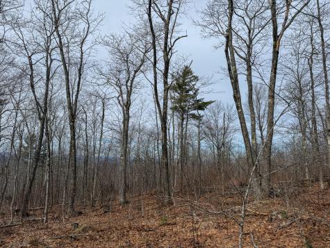 M1L22 Moosehead Trail Dixmont ME 04932