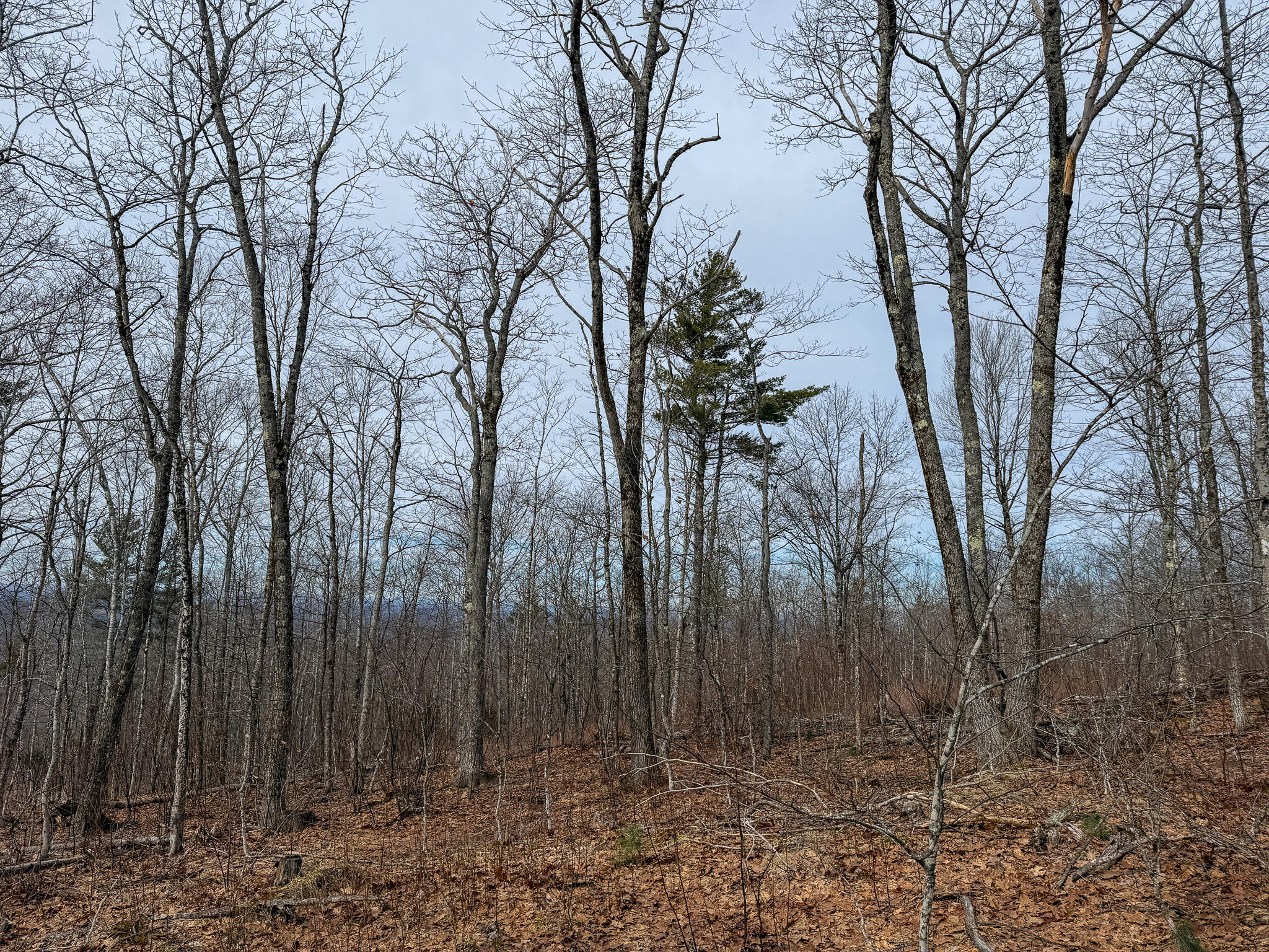 M1L22 Moosehead Trail Dixmont ME 04932