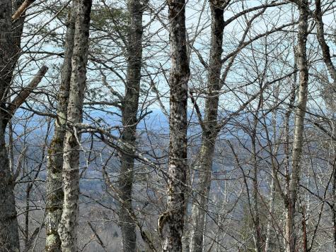M1L22 Moosehead Trail Dixmont ME 04932
