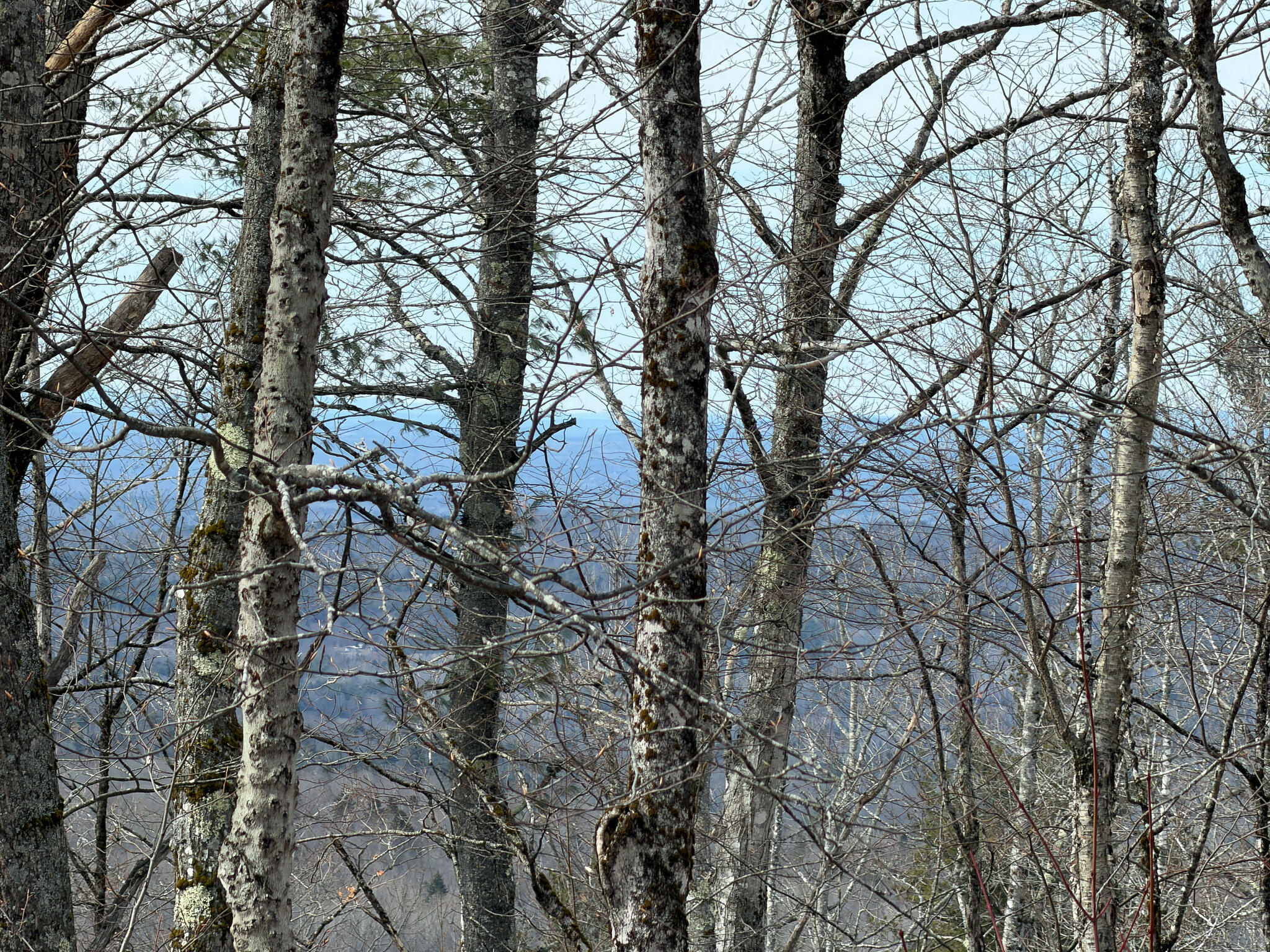 M1L22 Moosehead Trail Dixmont ME 04932