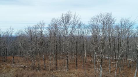 M1L22 Moosehead Trail Dixmont ME 04932