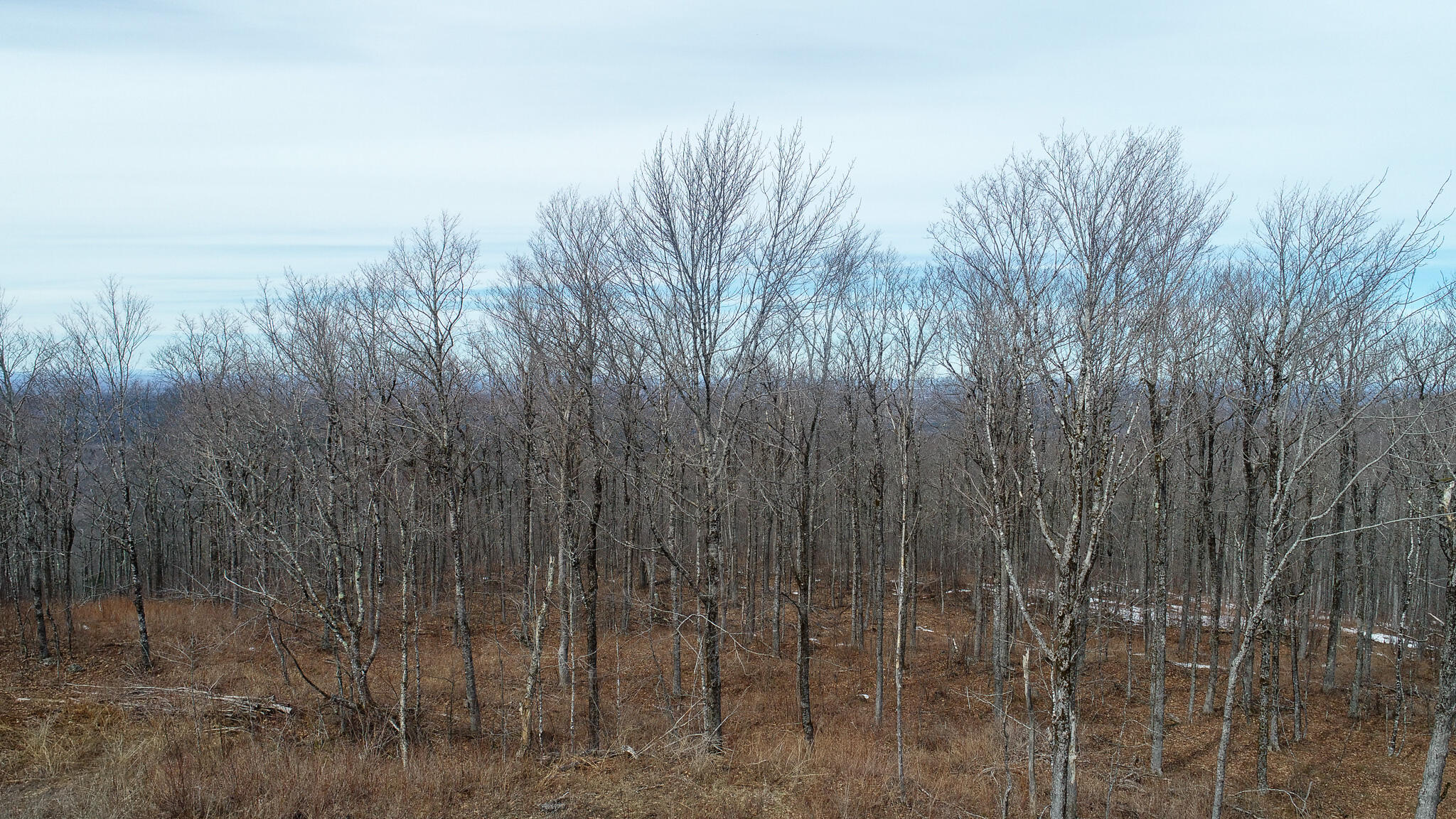 M1L22 Moosehead Trail Dixmont ME 04932