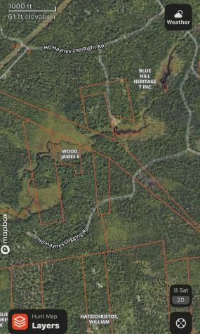 Map 38 Lot 11 Surry ME 04684