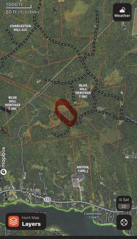 Map 38 Lot 11 Surry ME 04684