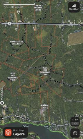 Map 38 Lot 11 Surry ME 04684