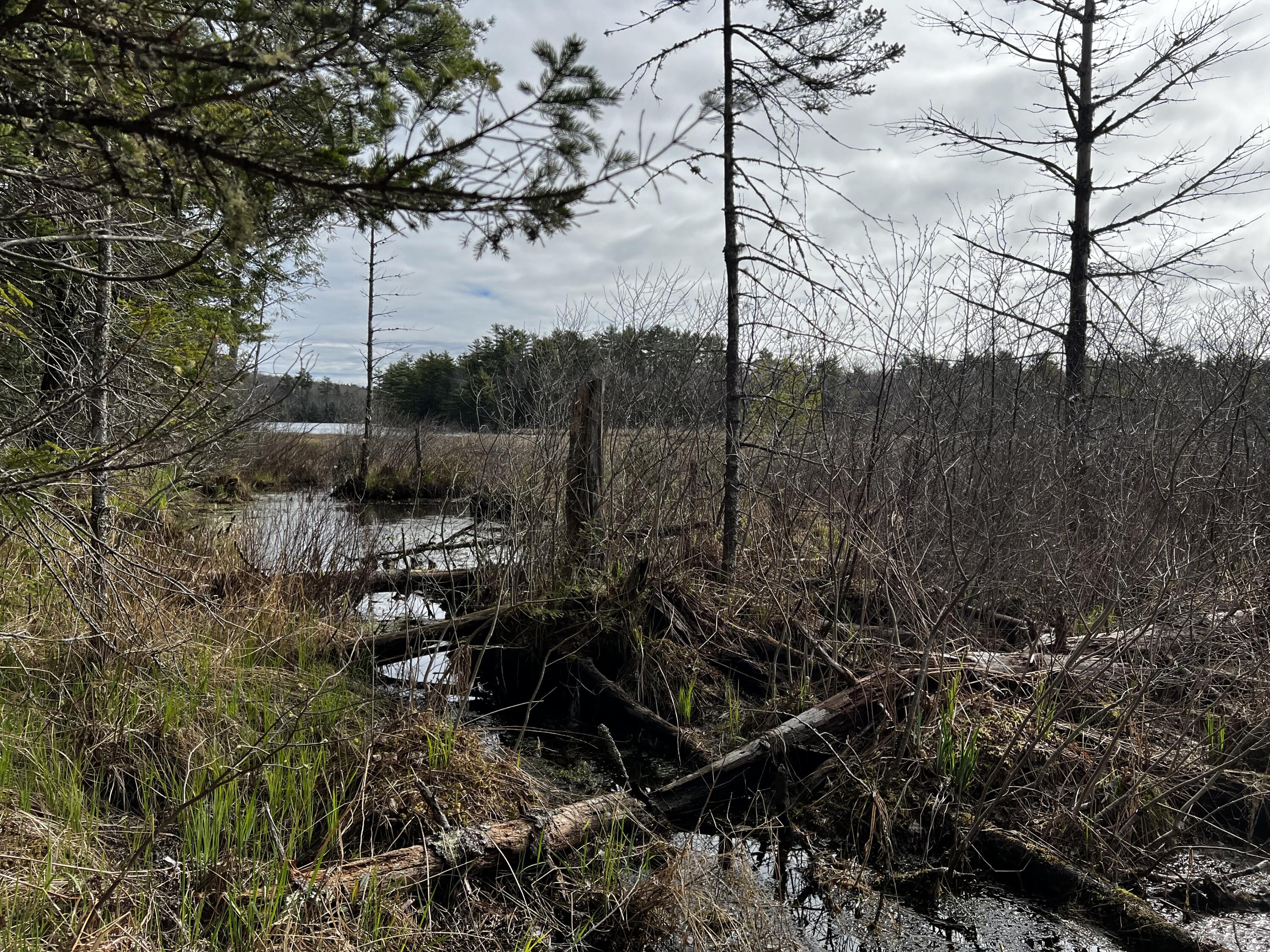 Lot 69 Campground Road Searsport ME 04974