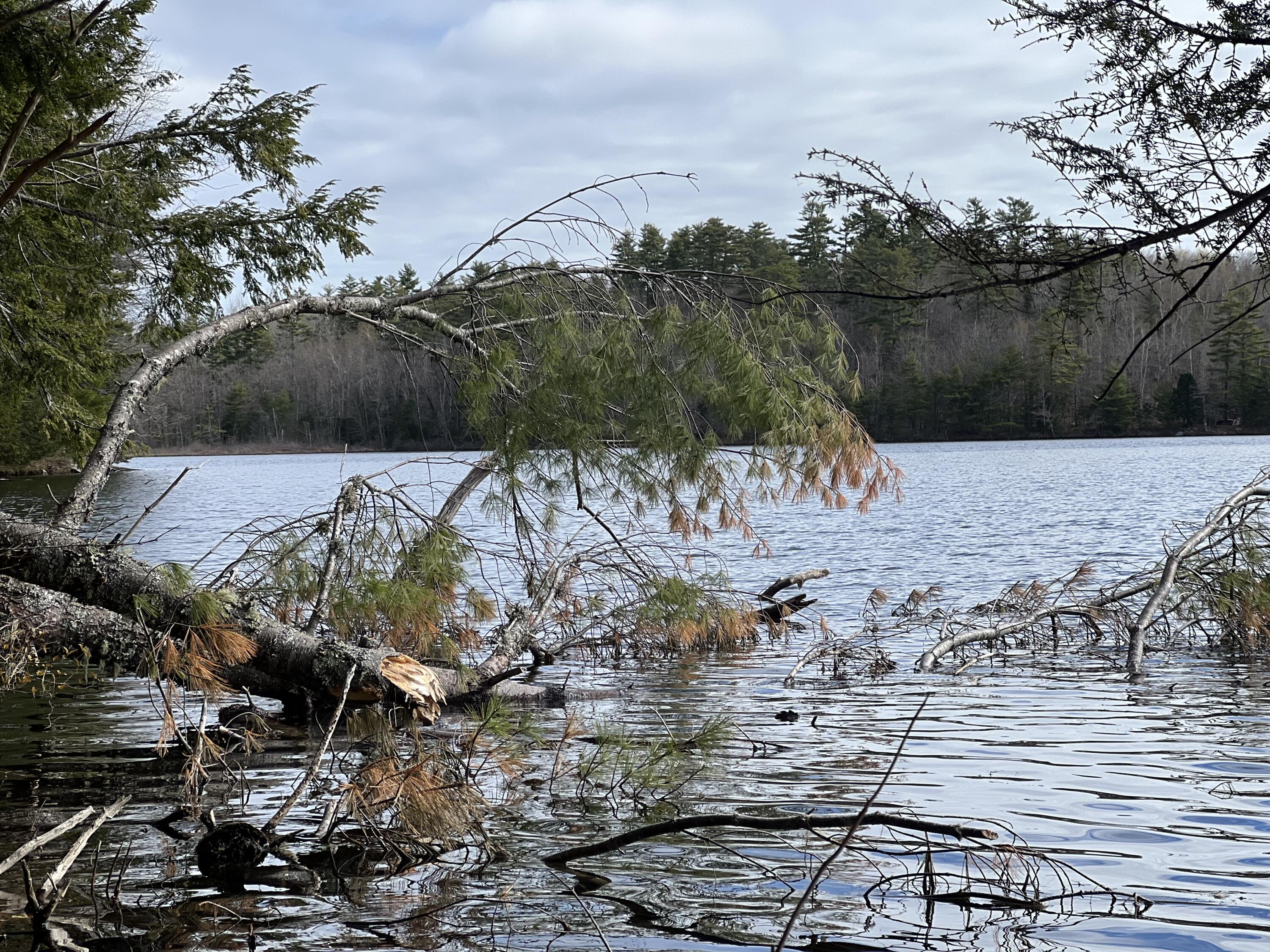 Lot 69 Campground Road Searsport ME 04974