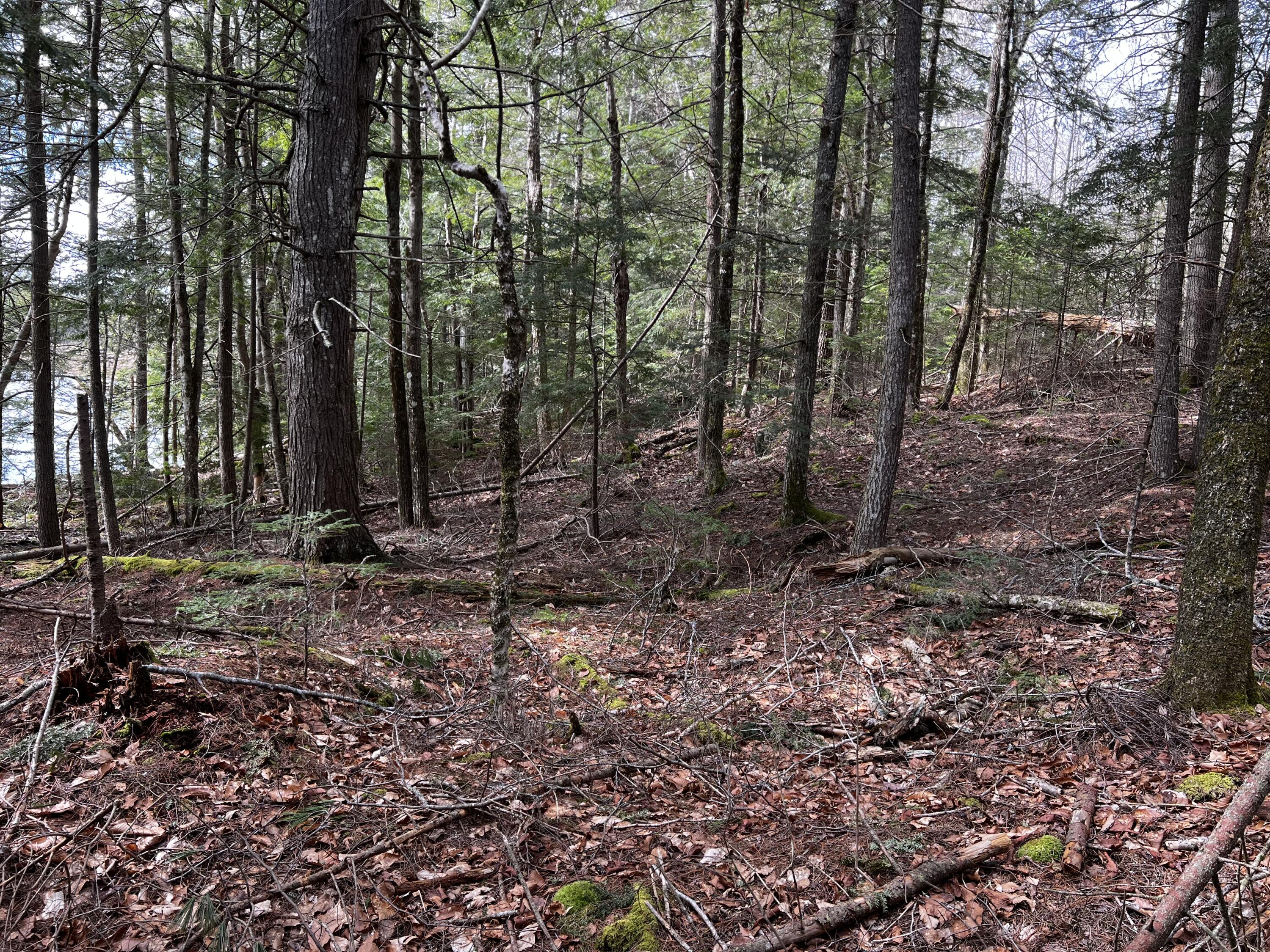 Lot 69 Campground Road Searsport ME 04974