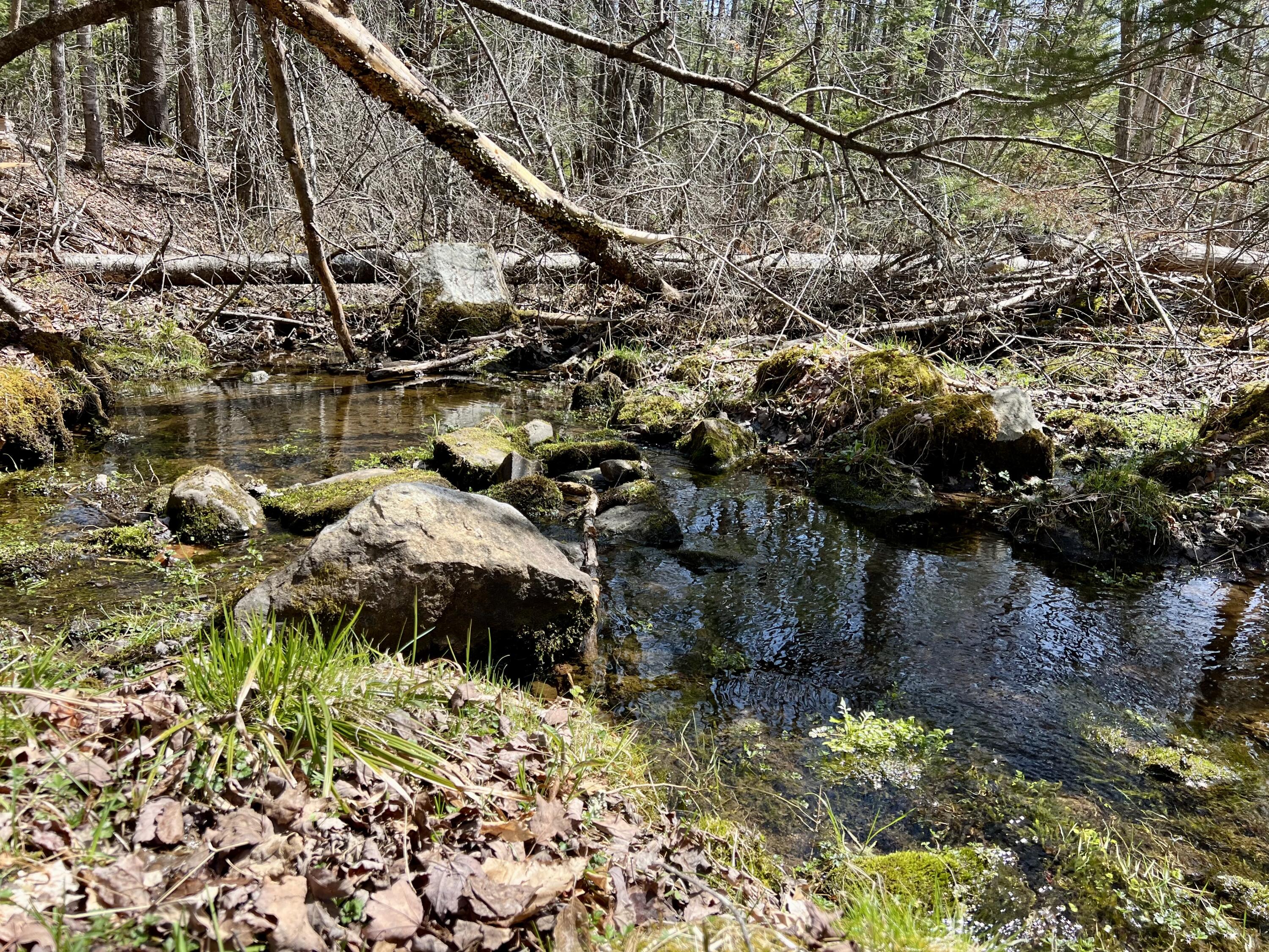 Lot 69 Campground Road Searsport ME 04974