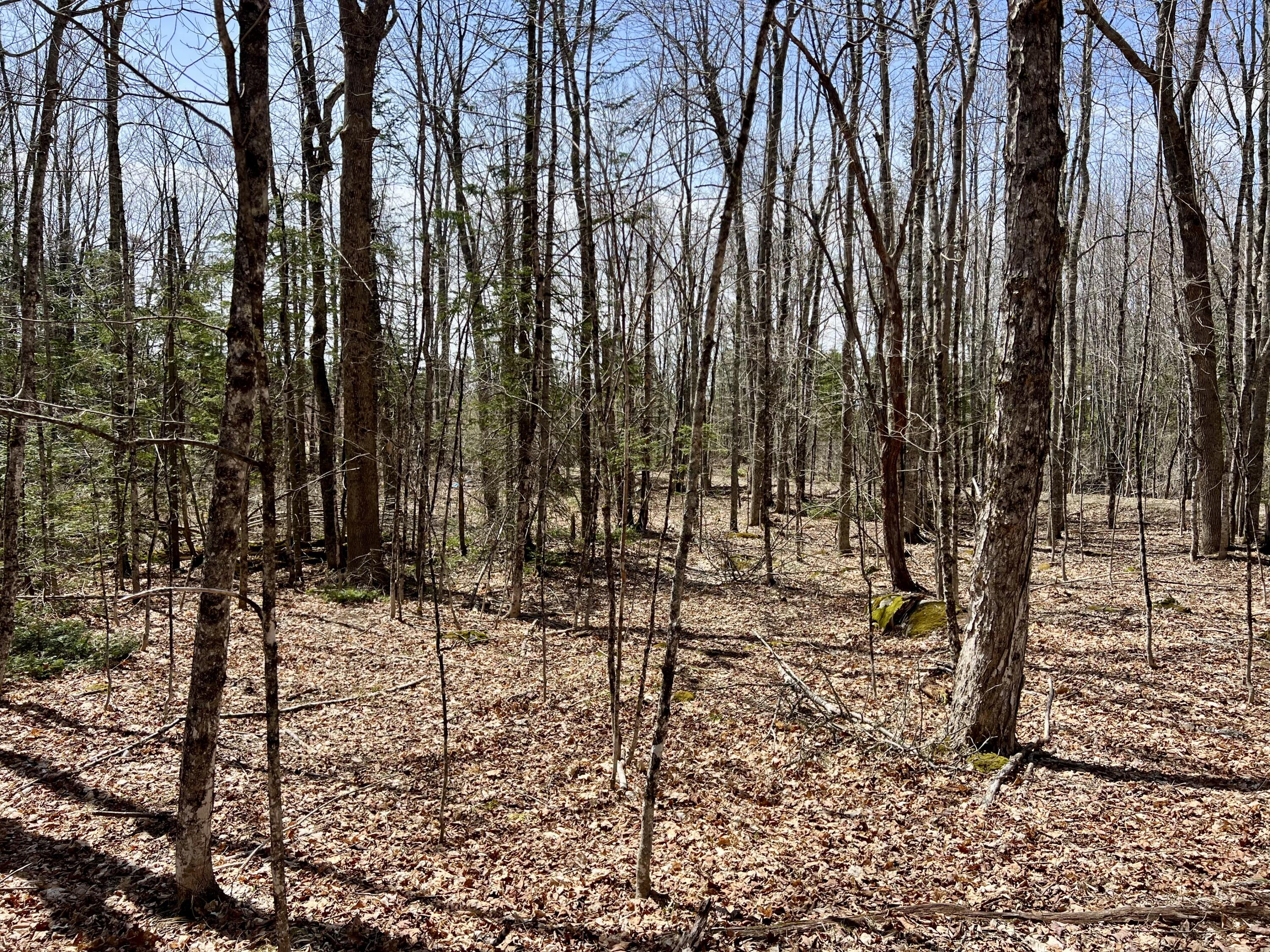 Lot 69 Campground Road Searsport ME 04974