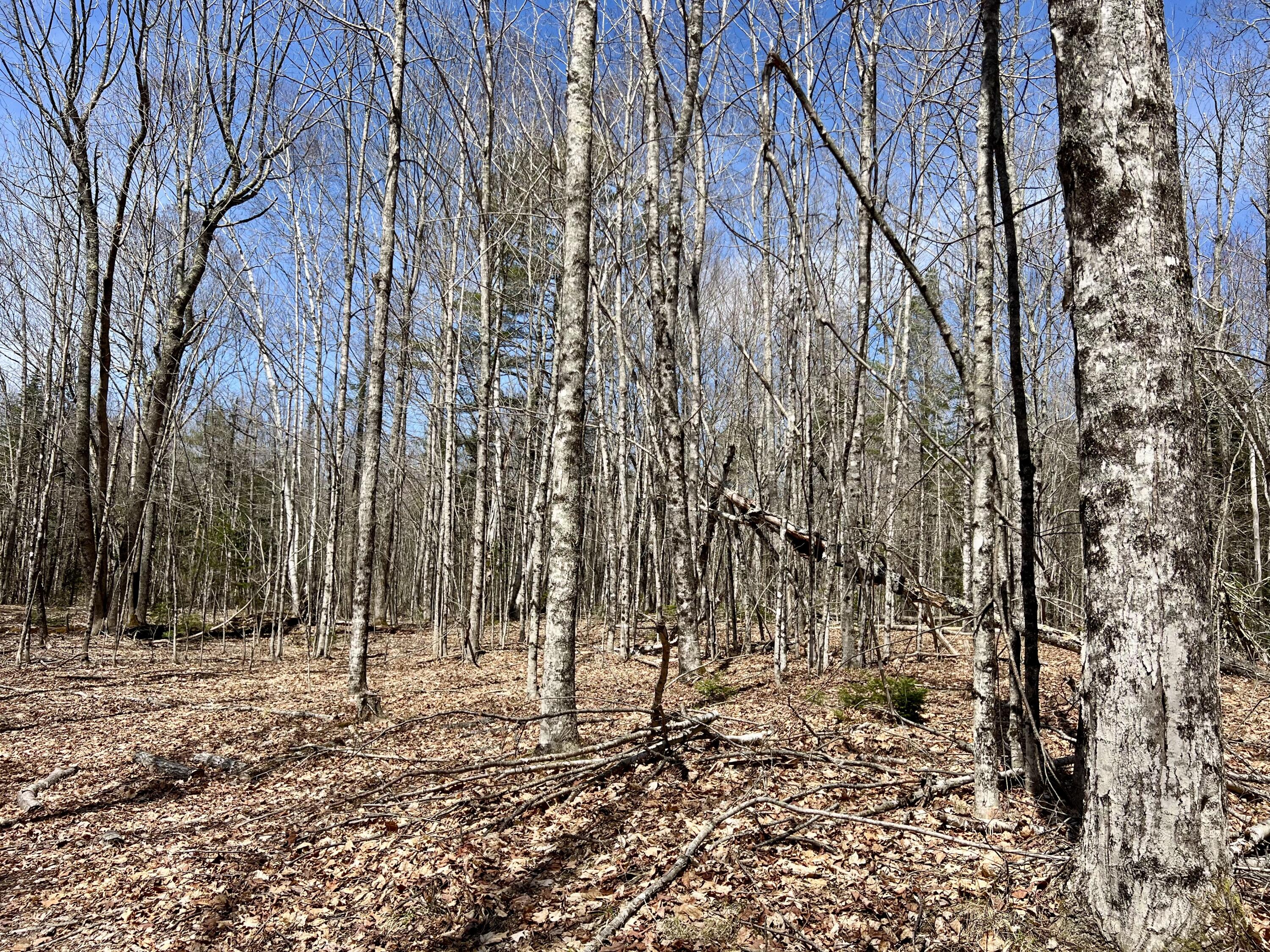 Lot 69 Campground Road Searsport ME 04974