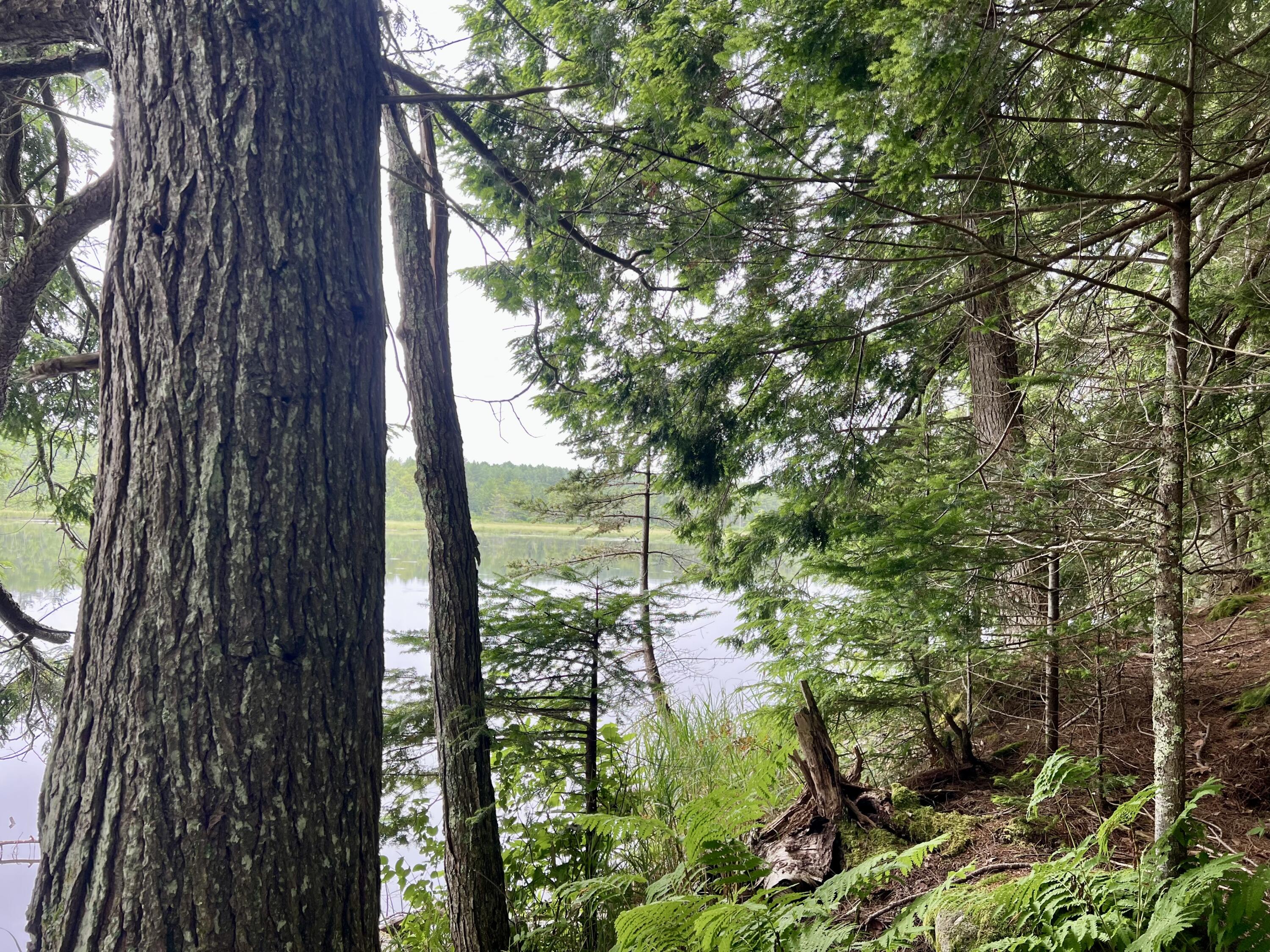 Lot 69 Campground Road Searsport ME 04974