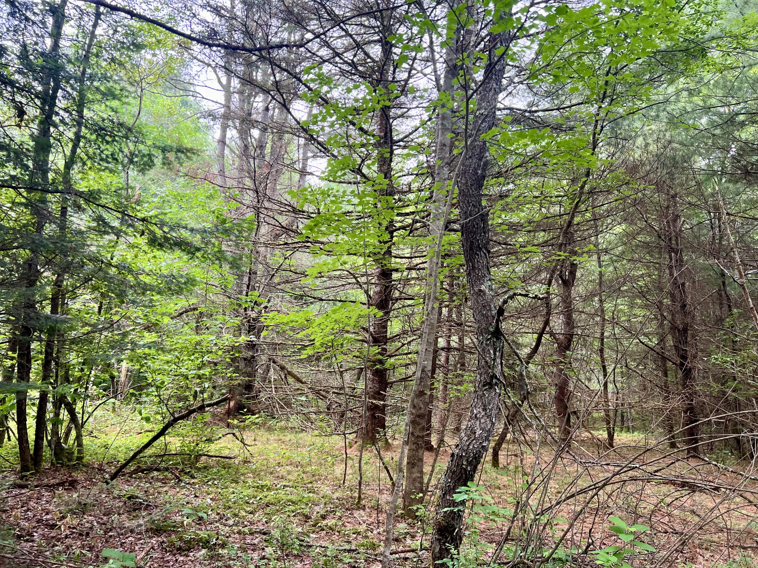 Lot 69 Campground Road Searsport ME 04974