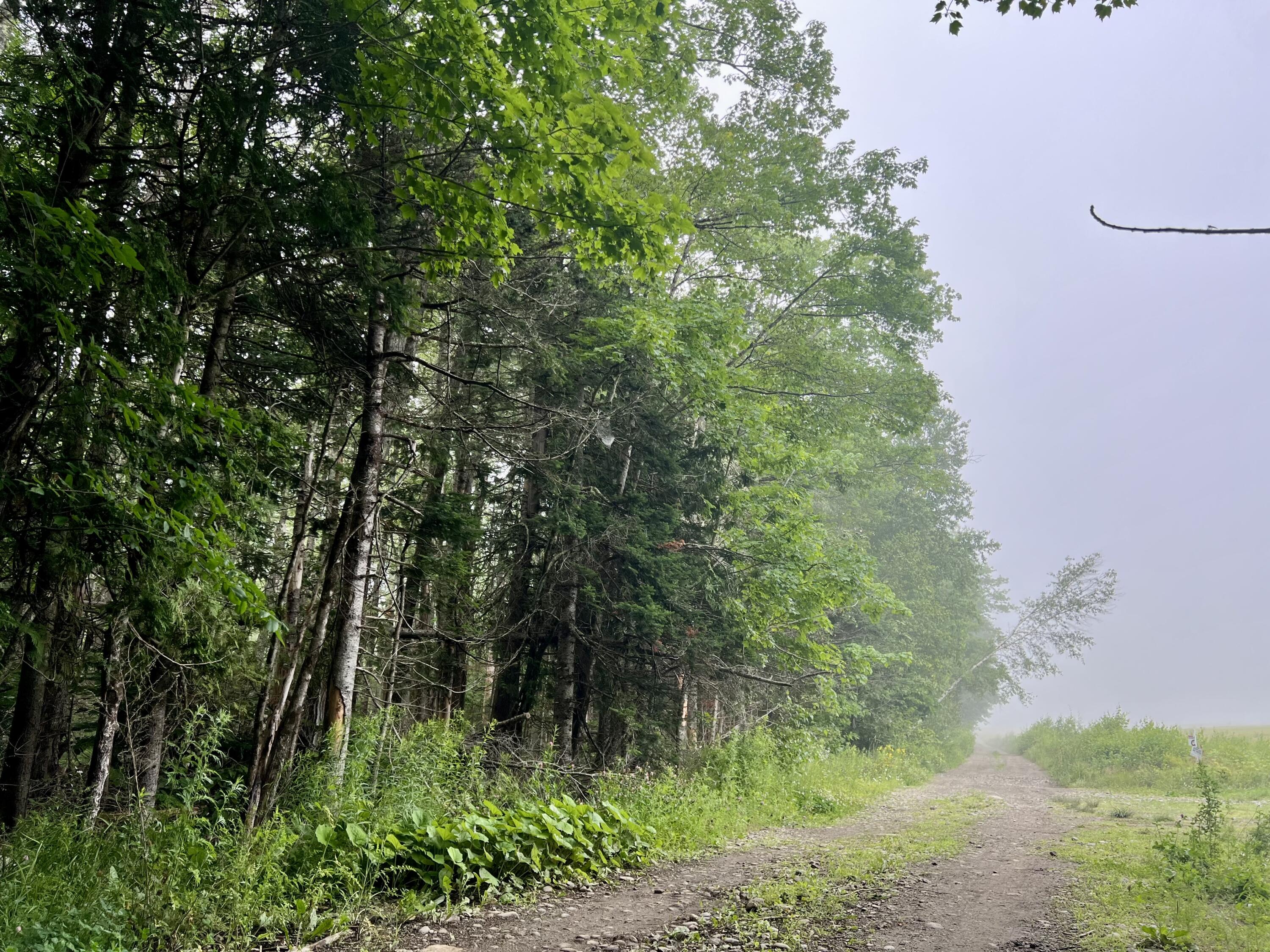 Lot 69 Campground Road Searsport ME 04974