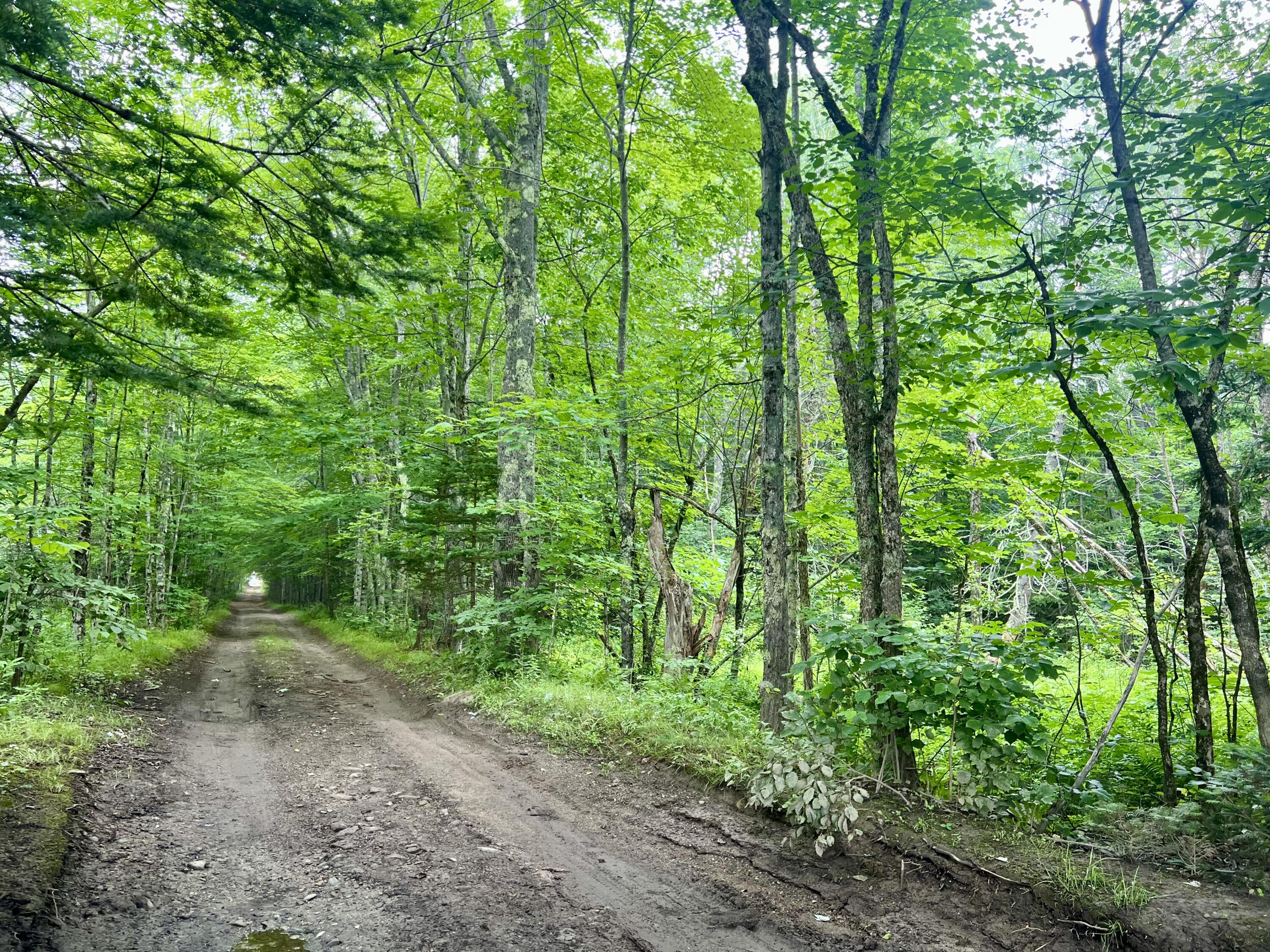 Lot 69 Campground Road Searsport ME 04974