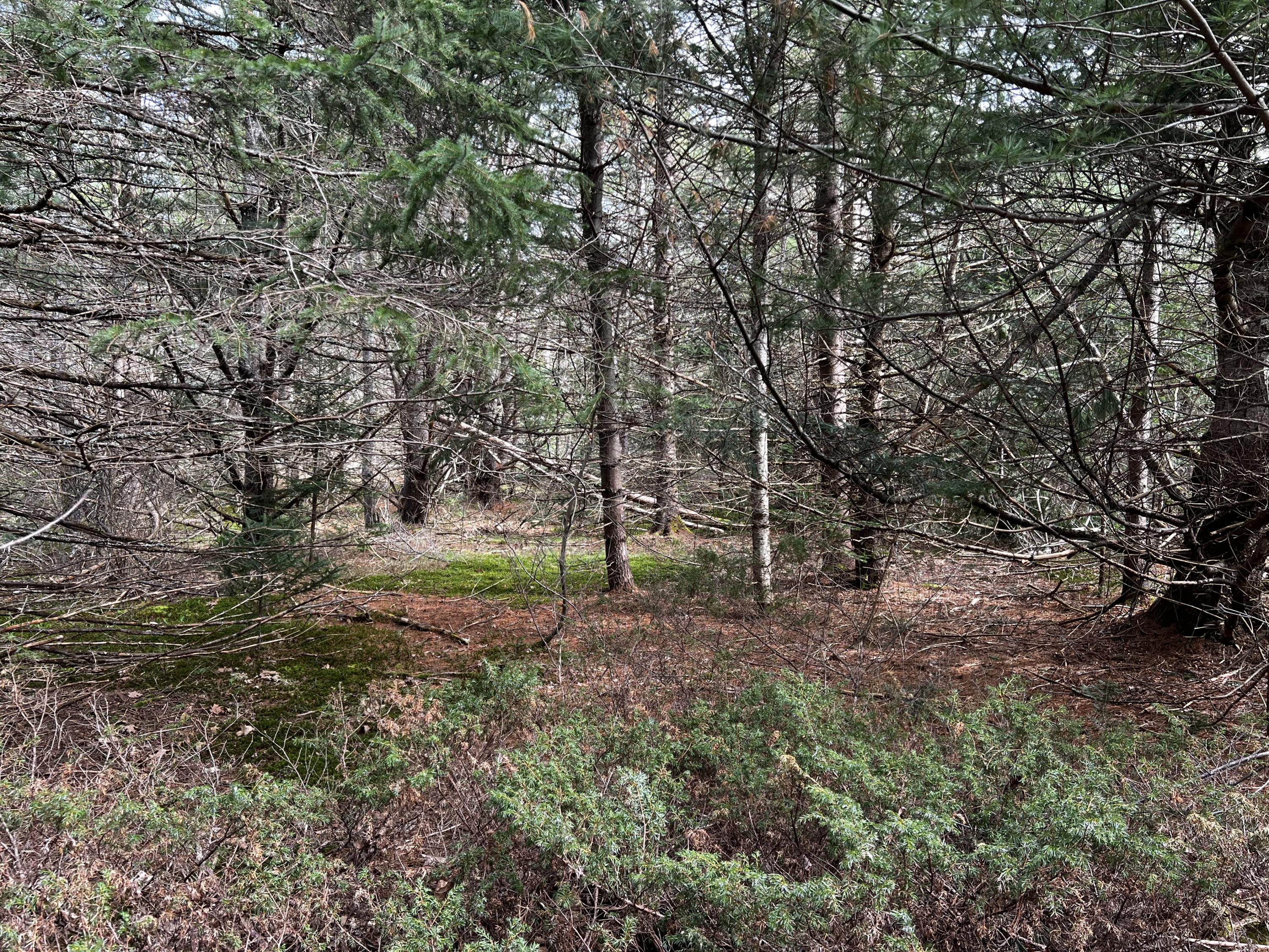 Lot 69 Campground Road Searsport ME 04974