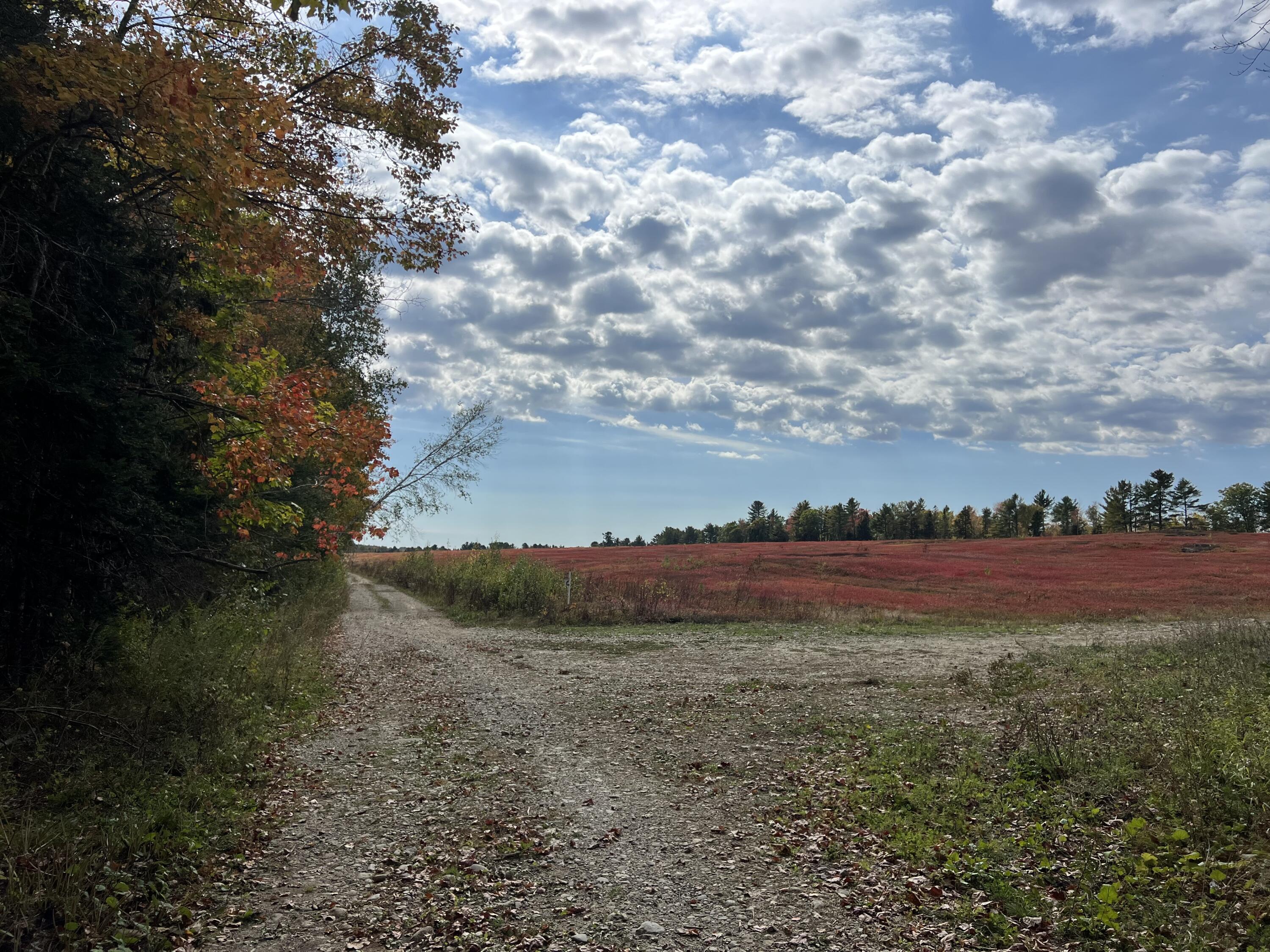 Lot 69 Campground Road Searsport ME 04974