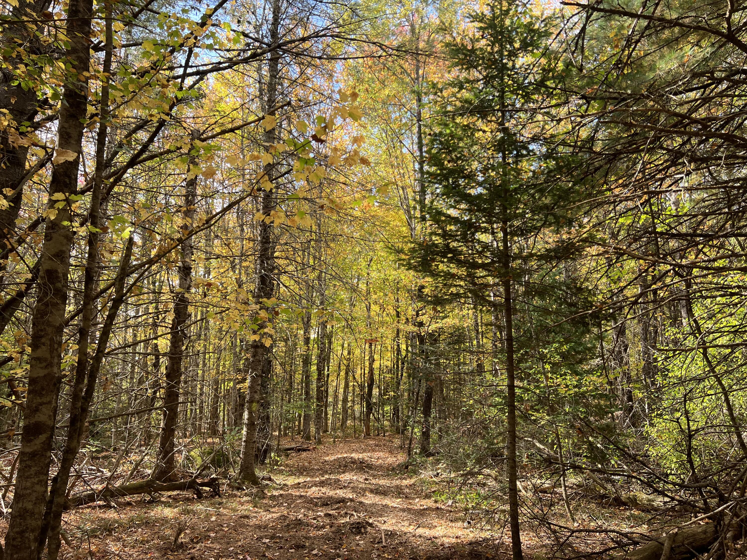 Lot 69 Campground Road Searsport ME 04974