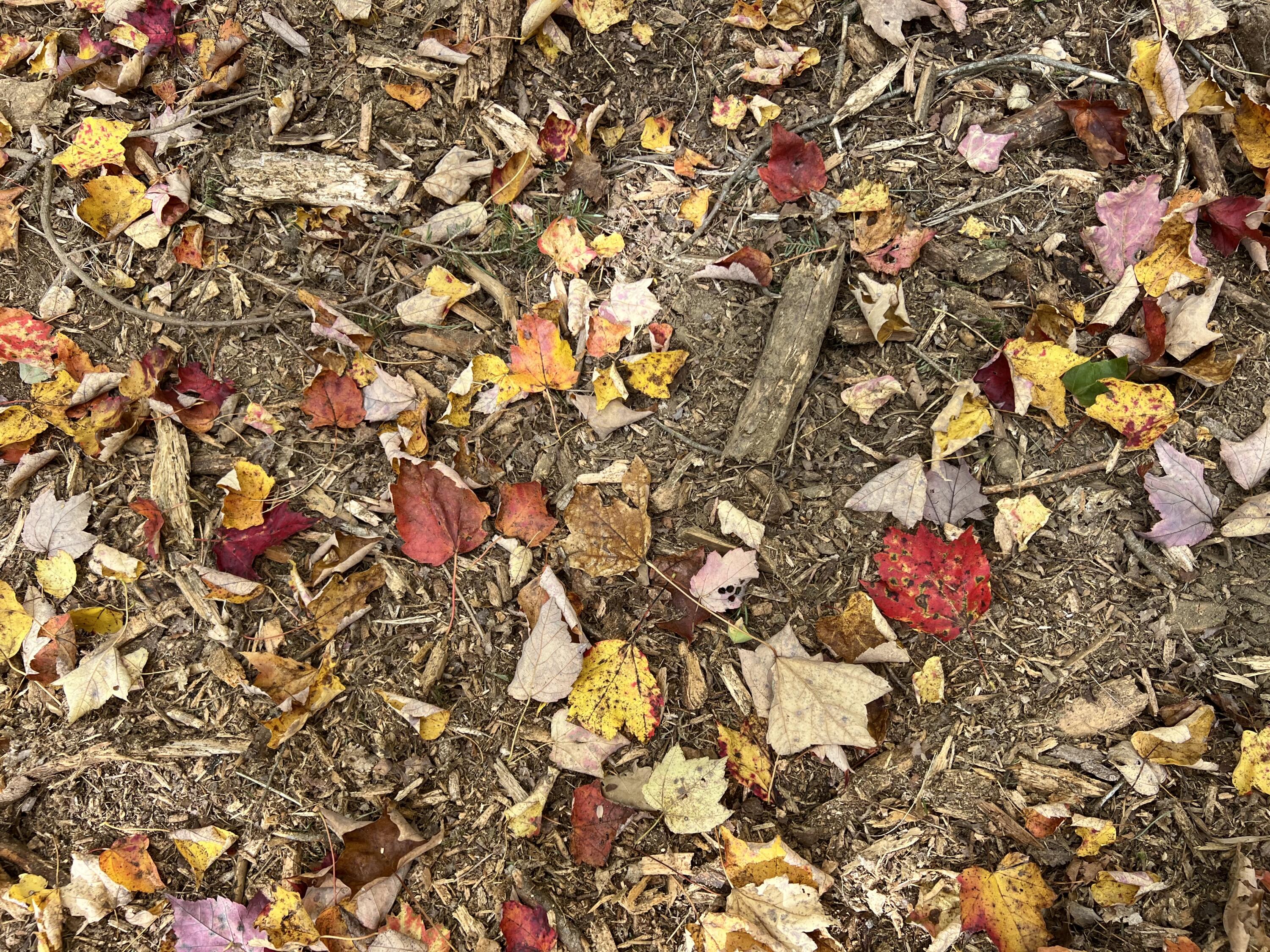 Lot 69 Campground Road Searsport ME 04974