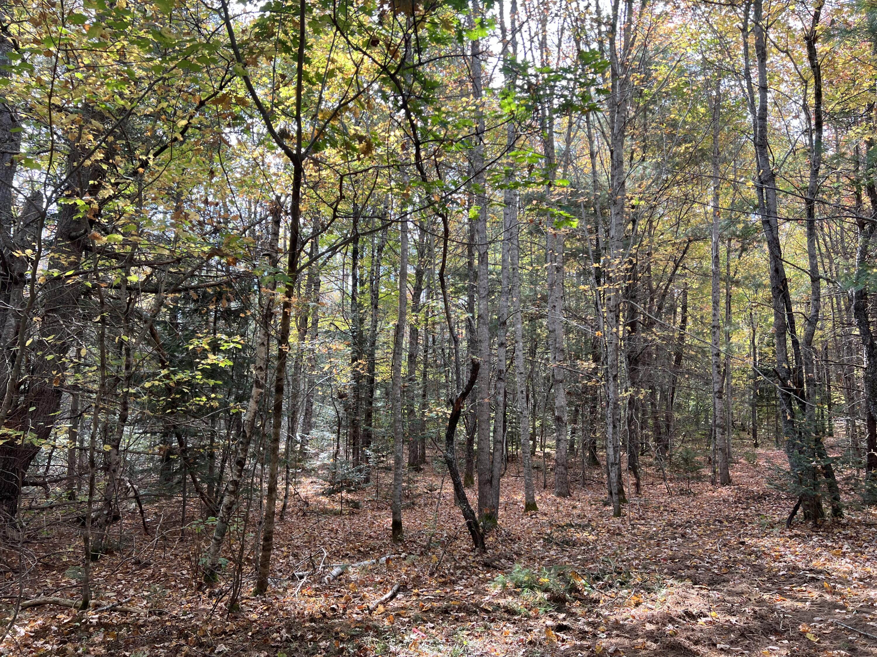 Lot 69 Campground Road Searsport ME 04974