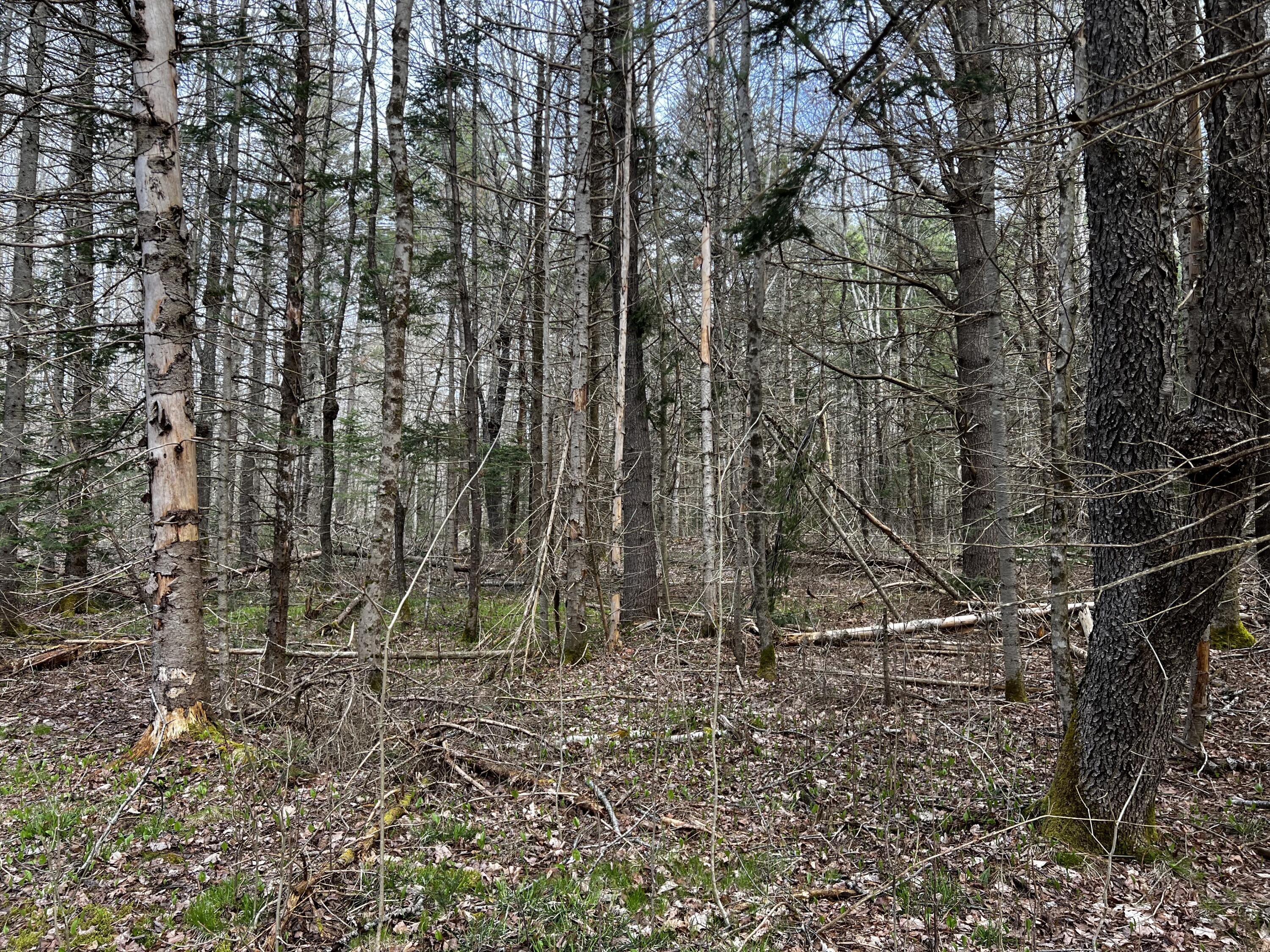 Lot 69 Campground Road Searsport ME 04974