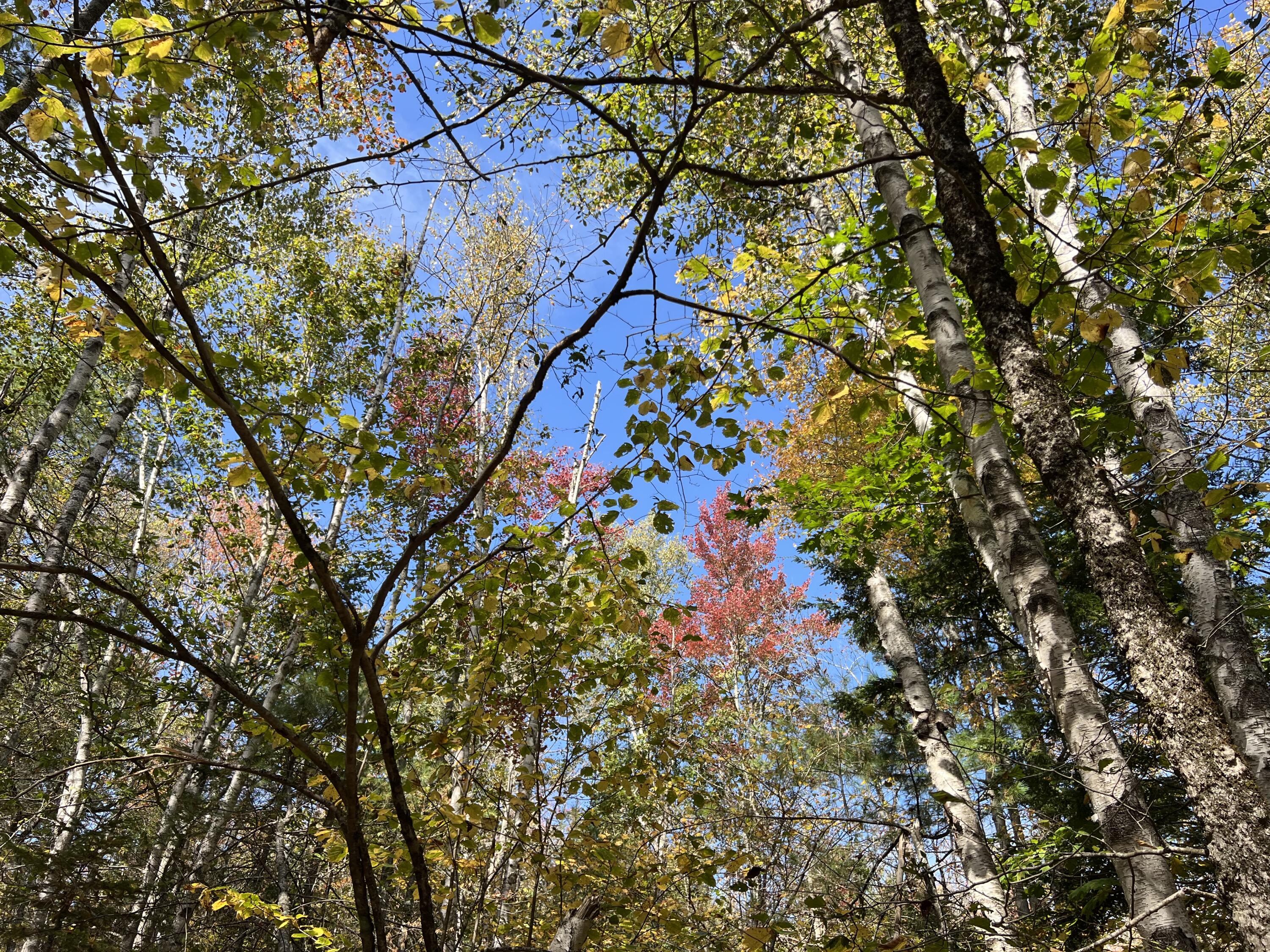 Lot 69 Campground Road Searsport ME 04974