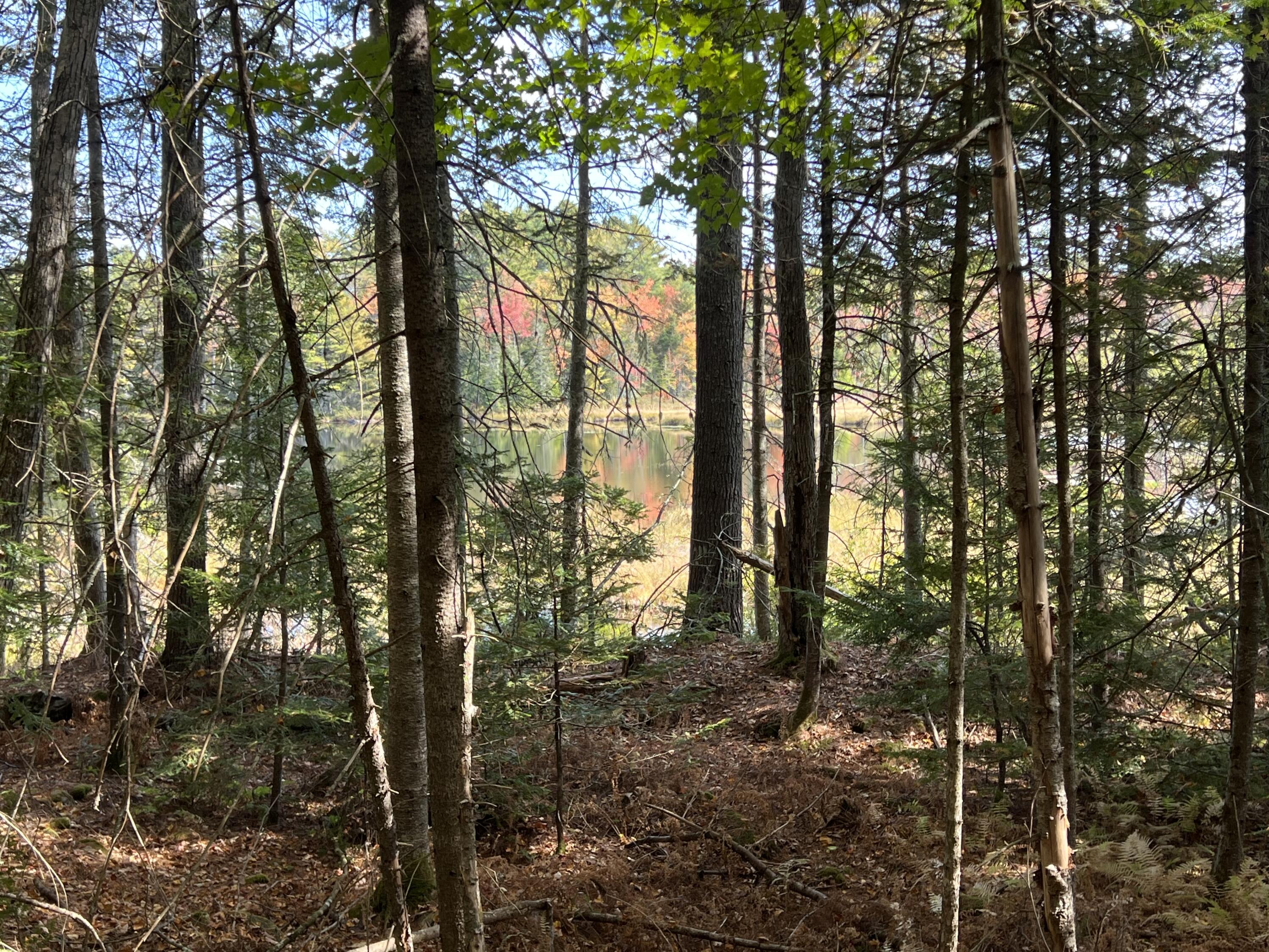 Lot 69 Campground Road Searsport ME 04974