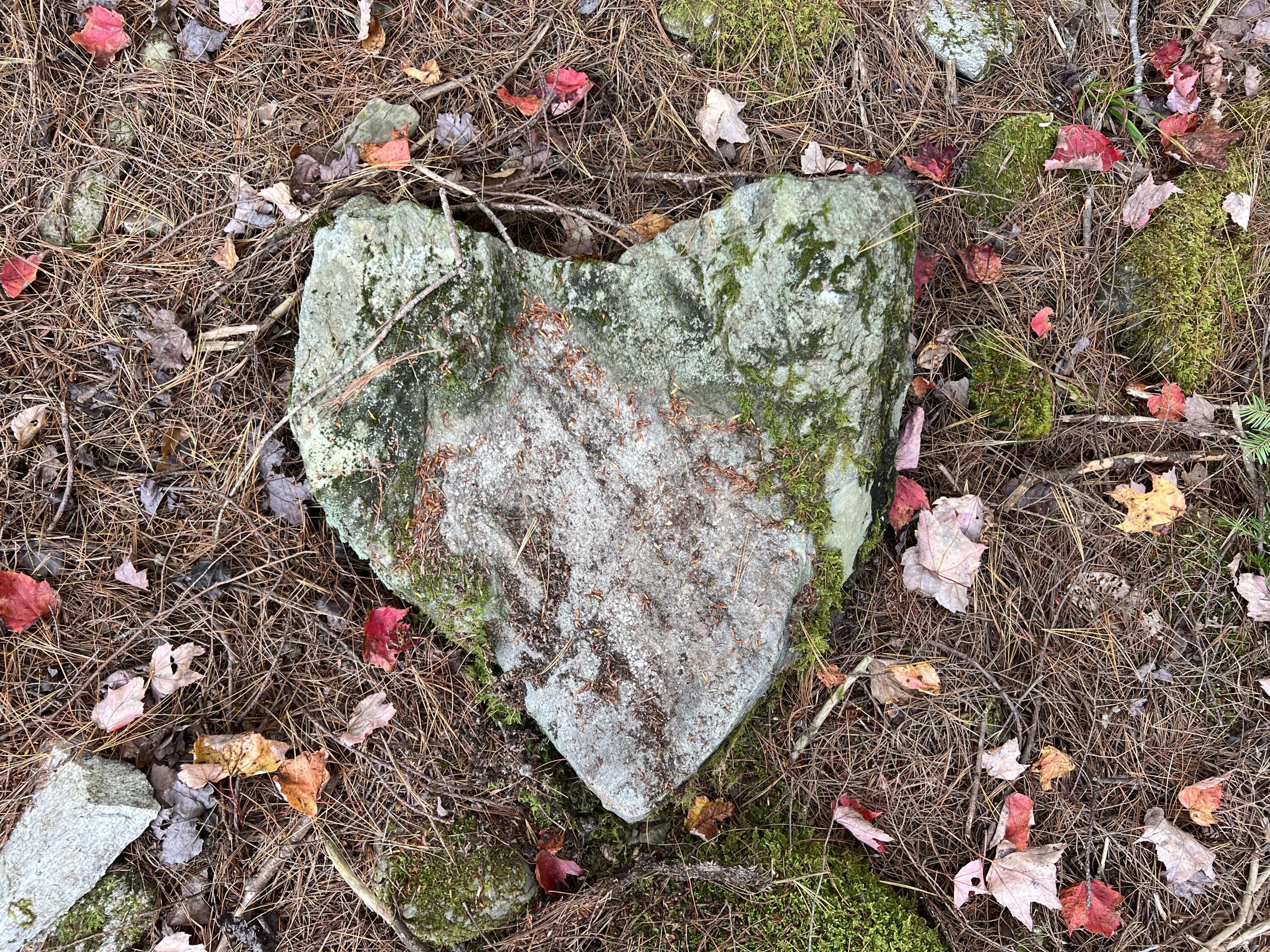 Lot 69 Campground Road Searsport ME 04974