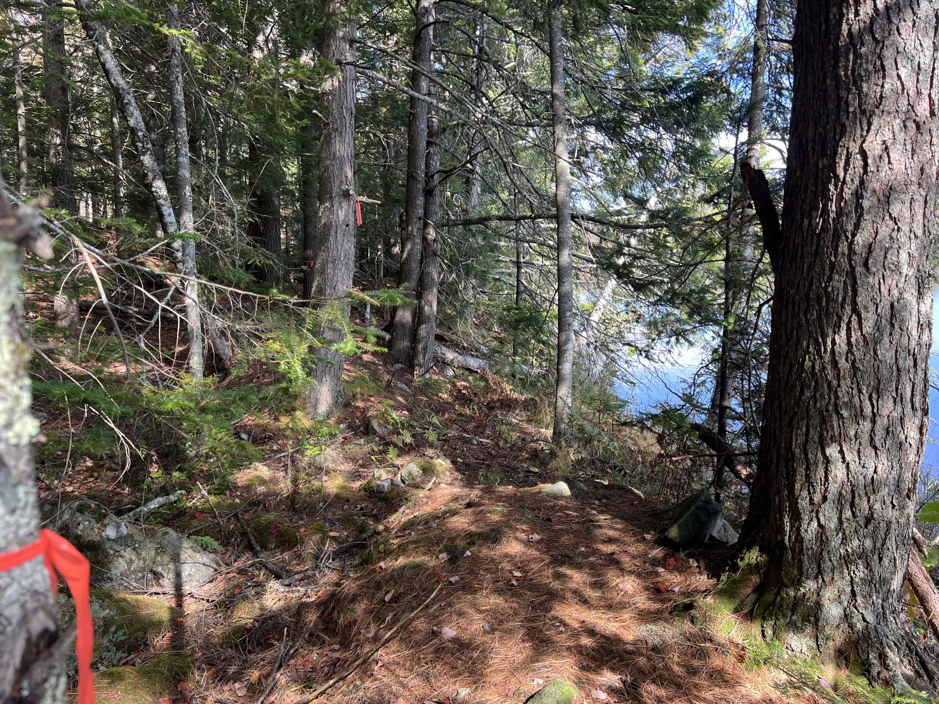 Lot 69 Campground Road Searsport ME 04974