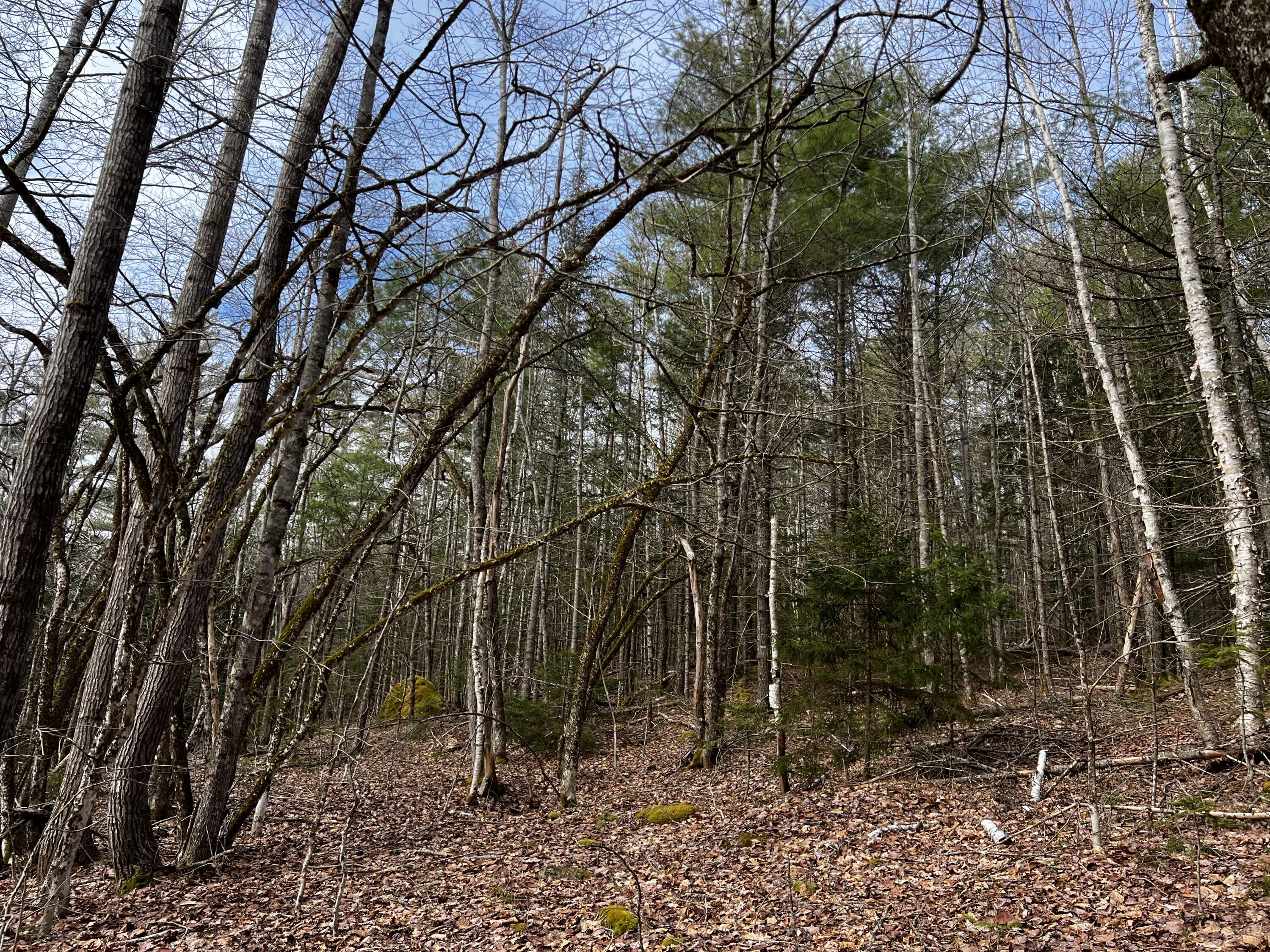 Lot 69 Campground Road Searsport ME 04974