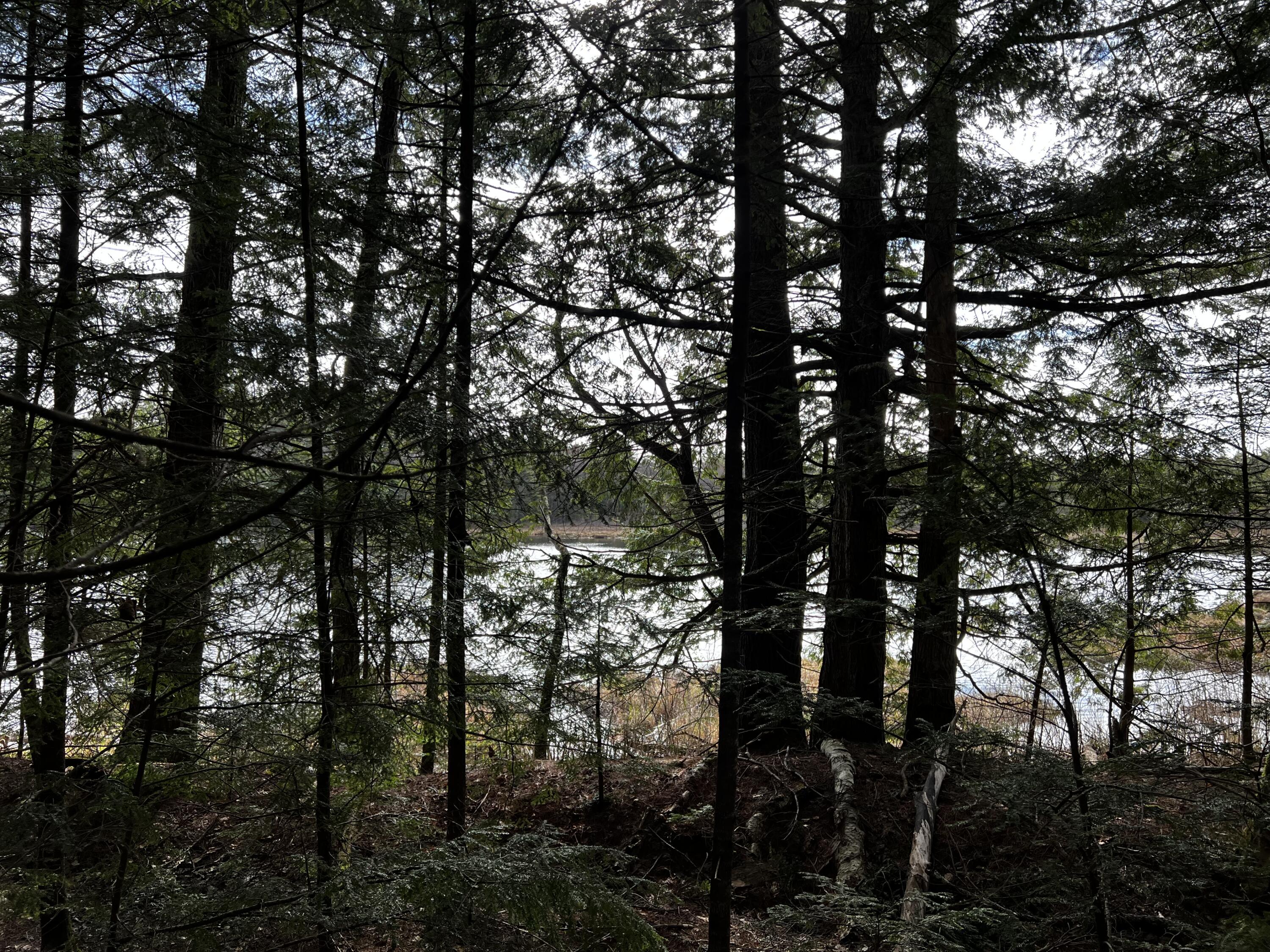 Lot 69 Campground Road Searsport ME 04974