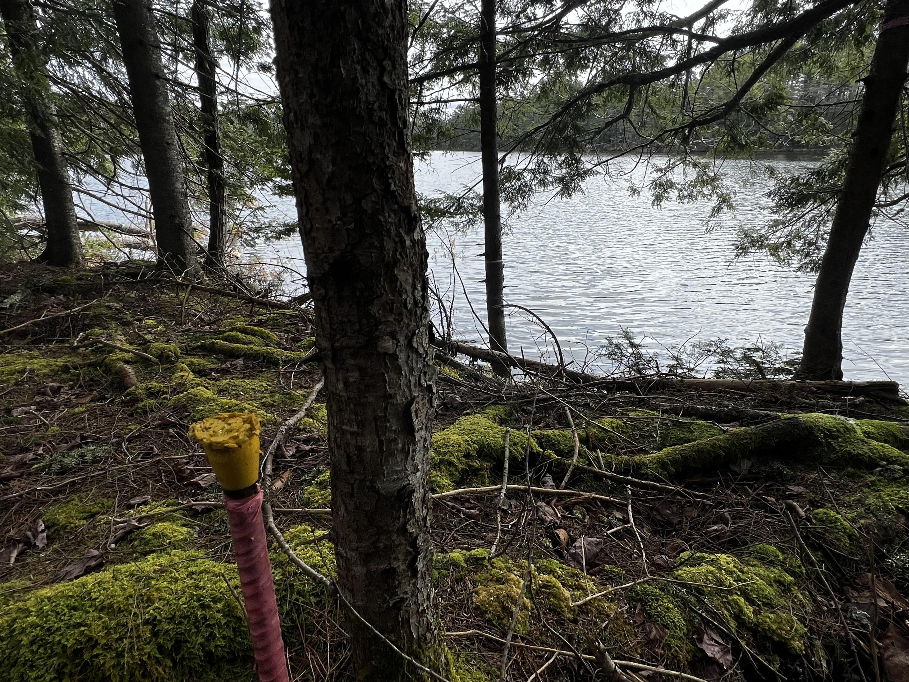 Lot 69 Campground Road Searsport ME 04974