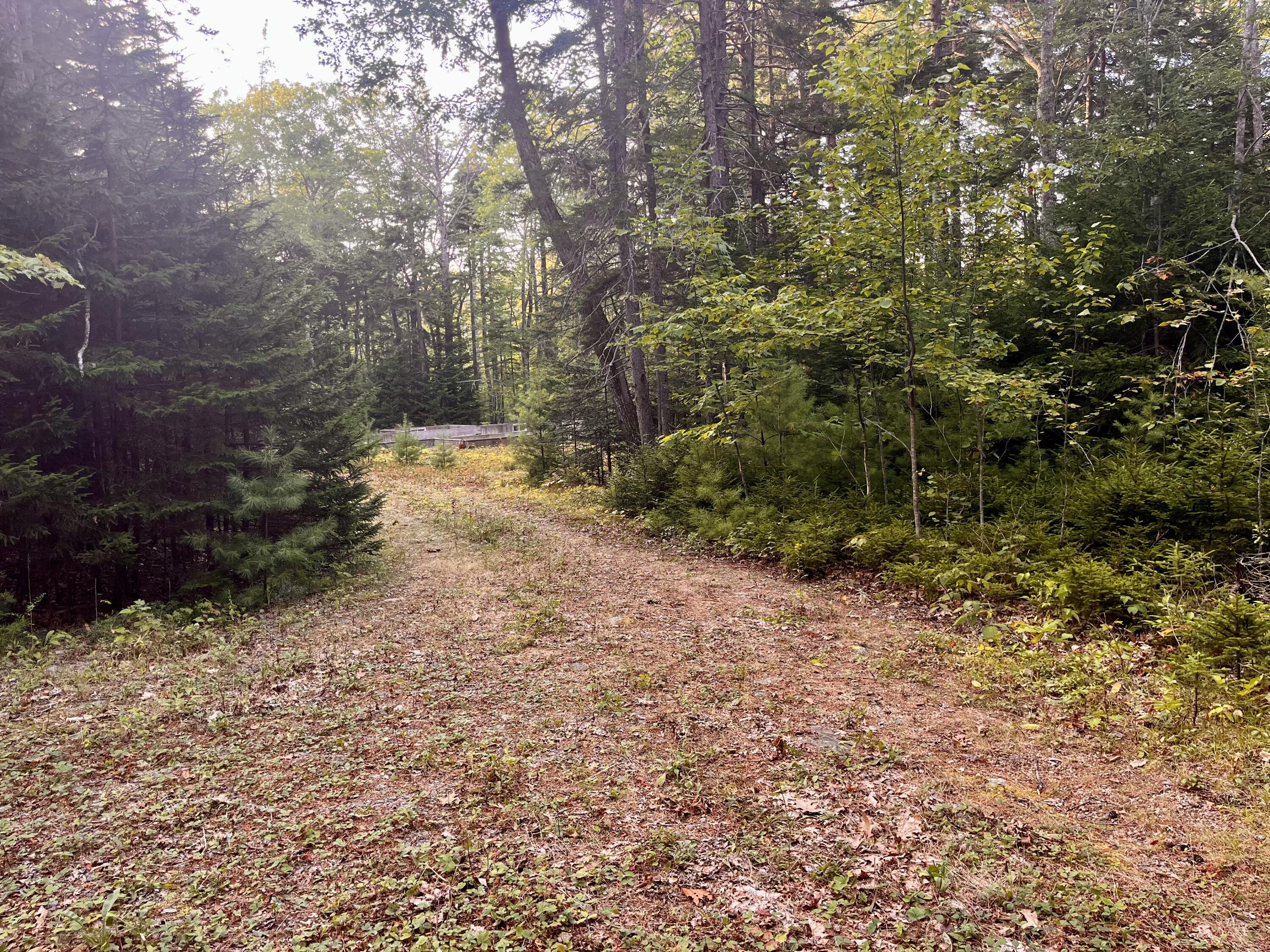 34 Bunchberry Lane Bristol ME 04539