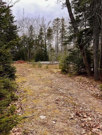34 Bunchberry Lane Bristol ME 04539