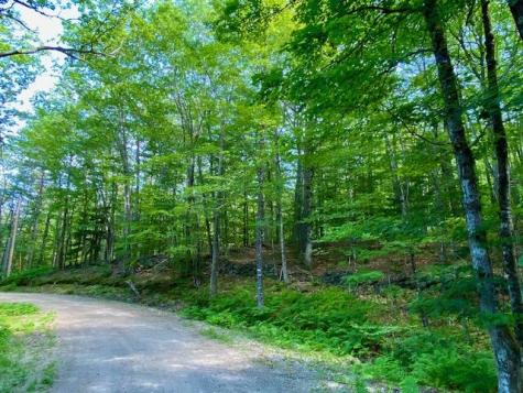 27 Nocturne Road Parsonsfield ME 04047