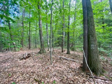 27 Nocturne Road Parsonsfield ME 04047