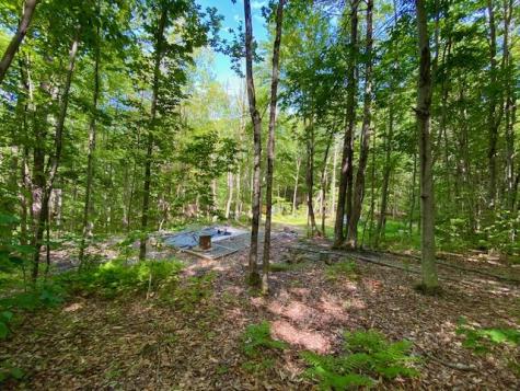 27 Nocturne Road Parsonsfield ME 04047