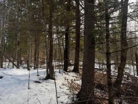 M11 L1 Off Route 43 Starks ME 04911