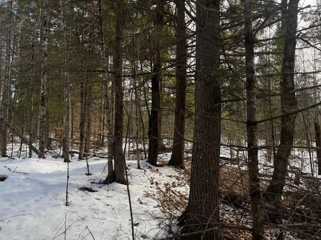 M11 L1 Off Route 43 Starks ME 04911